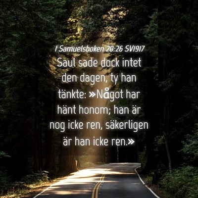 Picture 04 - 1 Samuelsboken 20:26 SV1917 - Saul sade dock intet den dagen, ty han tänkte: - Bible Verse Picture