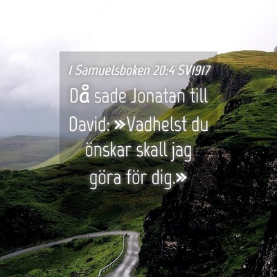 Picture 04 - 1 Samuelsboken 20:4 SV1917 - Då sade Jonatan till David: »Vadhelst du - Bible Verse Picture