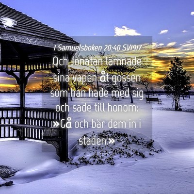 Picture 04 - 1 Samuelsboken 20:40 SV1917 - Och Jonatan lämnade sina vapen åt gossen som - Bible Verse Picture