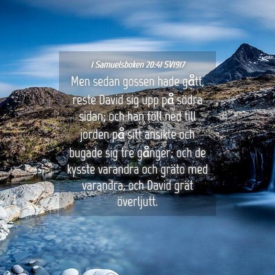 Picture 04 - 1 Samuelsboken 20:41 SV1917 - Men sedan gossen hade gått, reste David sig upp - Bible Verse Picture