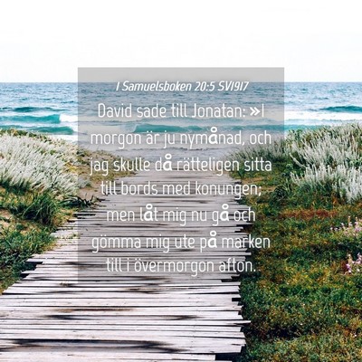 Picture 04 - 1 Samuelsboken 20:5 SV1917 - David sade till Jonatan: »I morgon är ju - Bible Verse Picture