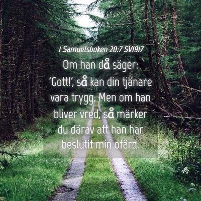 Picture 04 - 1 Samuelsboken 20:7 SV1917 - Om han då säger: 'Gott!', så kan din tjänare - Bible Verse Picture