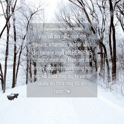 Picture 04 - 1 Samuelsboken 20:8 SV1917 - Visa så din nåd mot din tjänare, eftersom du - Bible Verse Picture