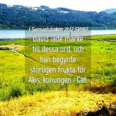 Picture 04 - 1 Samuelsboken 21:12 SV1917 - David lade märke till dessa ord, och han begynte - Bible Verse Picture