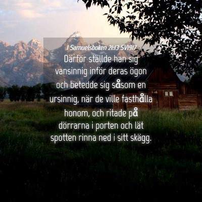Picture 04 - 1 Samuelsboken 21:13 SV1917 - Därför ställde han sig vansinnig inför deras - Bible Verse Picture