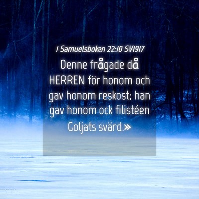 Picture 04 - 1 Samuelsboken 22:10 SV1917 - Denne frågade då HERREN för honom och gav - Bible Verse Picture
