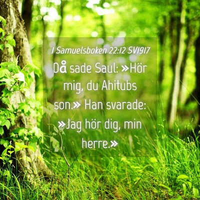Picture 04 - 1 Samuelsboken 22:12 SV1917 - Då sade Saul: »Hör mig, du Ahitubs son.» Han - Bible Verse Picture