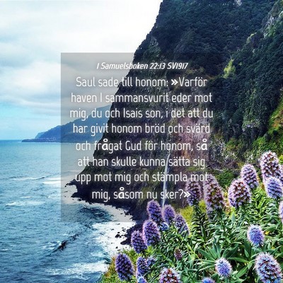 Picture 04 - 1 Samuelsboken 22:13 SV1917 - Saul sade till honom: »Varför haven I - Bible Verse Picture