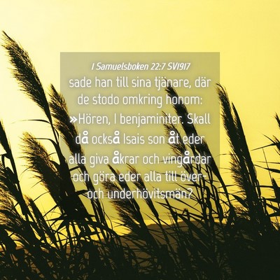 Picture 04 - 1 Samuelsboken 22:7 SV1917 - sade han till sina tjänare, där de stodo - Bible Verse Picture