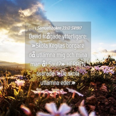 Picture 04 - 1 Samuelsboken 23:12 SV1917 - David frågade ytterligare: »Skola Kegilas - Bible Verse Picture