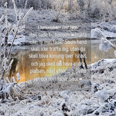 Picture 04 - 1 Samuelsboken 23:17 SV1917 - Han sade till honom: »Frukta icke; ty min fader - Bible Verse Picture