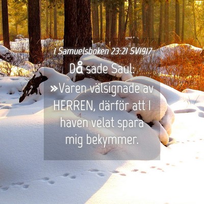 Picture 04 - 1 Samuelsboken 23:21 SV1917 - Då sade Saul: »Varen välsignade av HERREN, - Bible Verse Picture