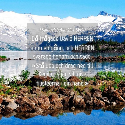 Picture 04 - 1 Samuelsboken 23:4 SV1917 - Då frågade David HERREN ännu en gång, och - Bible Verse Picture