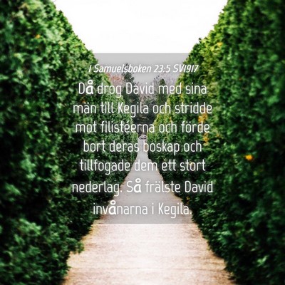 Picture 04 - 1 Samuelsboken 23:5 SV1917 - Då drog David med sina män till Kegila och - Bible Verse Picture