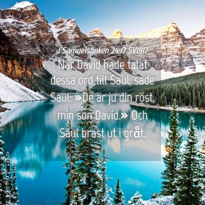 Picture 04 - 1 Samuelsboken 24:17 SV1917 - När David hade talat dessa ord till Saul, sade - Bible Verse Picture