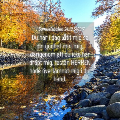 Picture 04 - 1 Samuelsboken 24:19 SV1917 - Du har i dag låtit mig se din godhet mot mig, - Bible Verse Picture