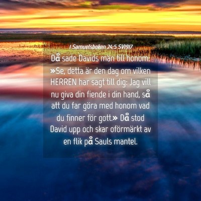 Picture 04 - 1 Samuelsboken 24:5 SV1917 - Då sade Davids män till honom: »Se, detta är - Bible Verse Picture