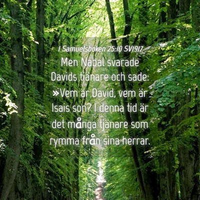 Picture 04 - 1 Samuelsboken 25:10 SV1917 - Men Nabal svarade Davids tjänare och sade: »Vem - Bible Verse Picture
