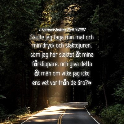 Picture 04 - 1 Samuelsboken 25:11 SV1917 - Skulle jag taga min mat och min dryck och - Bible Verse Picture