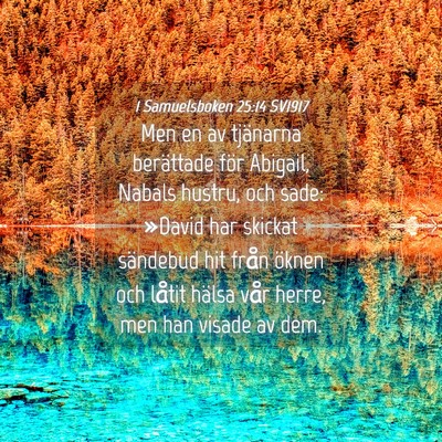 Picture 04 - 1 Samuelsboken 25:14 SV1917 - Men en av tjänarna berättade för Abigail, - Bible Verse Picture