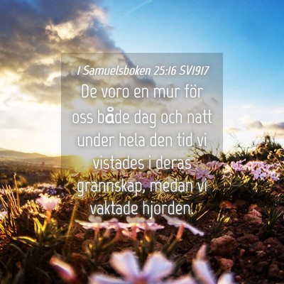 Picture 04 - 1 Samuelsboken 25:16 SV1917 - De voro en mur för oss både dag och natt under - Bible Verse Picture