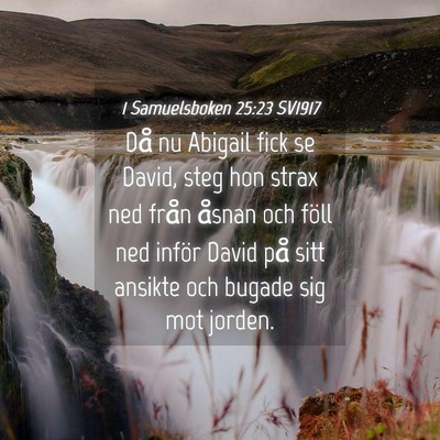Picture 04 - 1 Samuelsboken 25:23 SV1917 - Då nu Abigail fick se David, steg hon strax ned - Bible Verse Picture