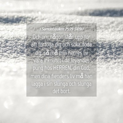 Picture 04 - 1 Samuelsboken 25:29 SV1917 - Och om någon står upp för att förfölja dig - Bible Verse Picture
