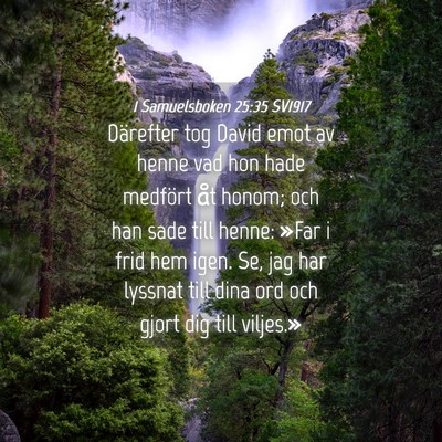 Picture 04 - 1 Samuelsboken 25:35 SV1917 - Därefter tog David emot av henne vad hon hade - Bible Verse Picture