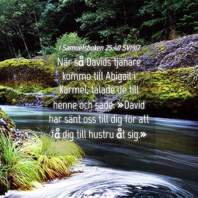 Picture 04 - 1 Samuelsboken 25:40 SV1917 - När så Davids tjänare kommo till Abigail i - Bible Verse Picture