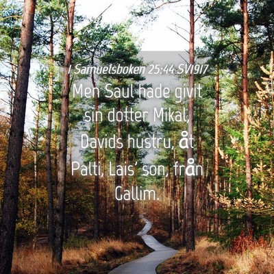 Picture 04 - 1 Samuelsboken 25:44 SV1917 - Men Saul hade givit sin dotter Mikal, Davids - Bible Verse Picture