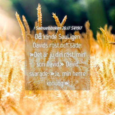 Picture 04 - 1 Samuelsboken 26:17 SV1917 - Då kände Saul igen Davids röst och sade: »Det - Bible Verse Picture
