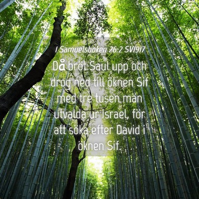 Picture 04 - 1 Samuelsboken 26:2 SV1917 - Då bröt Saul upp och drog ned till öknen Sif - Bible Verse Picture