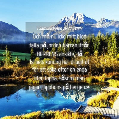 Picture 04 - 1 Samuelsboken 26:20 SV1917 - Och må nu icke mitt blod falla på jorden - Bible Verse Picture