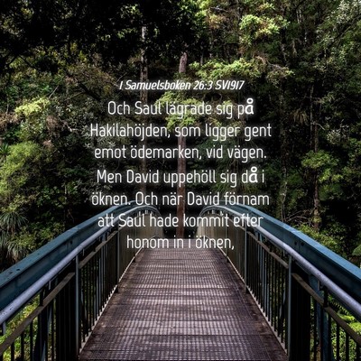 Picture 04 - 1 Samuelsboken 26:3 SV1917 - Och Saul lägrade sig på Hakilahöjden, som - Bible Verse Picture