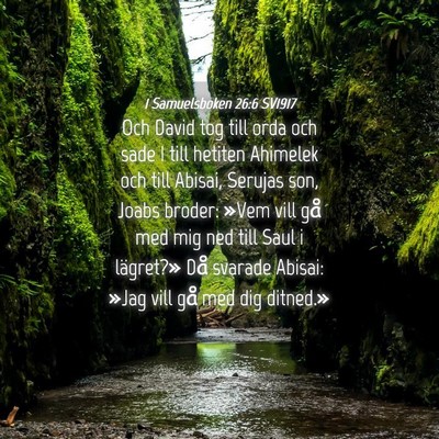 Picture 04 - 1 Samuelsboken 26:6 SV1917 - Och David tog till orda och sade I till hetiten - Bible Verse Picture