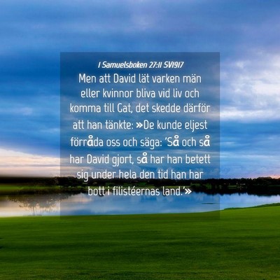 Picture 04 - 1 Samuelsboken 27:11 SV1917 - Men att David lät varken män eller kvinnor - Bible Verse Picture