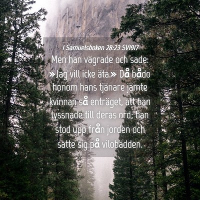 Picture 04 - 1 Samuelsboken 28:23 SV1917 - Men han vägrade och sade: »Jag vill icke - Bible Verse Picture