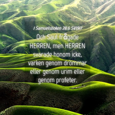 Picture 04 - 1 Samuelsboken 28:6 SV1917 - Och Saul frågade HERREN, men HERREN svarade - Bible Verse Picture
