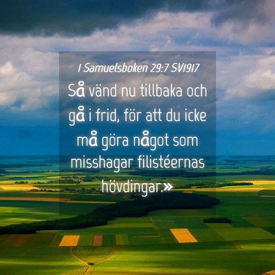 Picture 04 - 1 Samuelsboken 29:7 SV1917 - Så vänd nu tillbaka och gå i frid, för att du - Bible Verse Picture