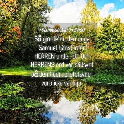 Picture 04 - 1 Samuelsboken 3:1 SV1917 - Så gjorde nu den unge Samuel tjänst inför - Bible Verse Picture