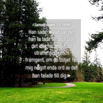 Picture 04 - 1 Samuelsboken 3:17 SV1917 - Han sade: »Vad var det han ta lade till dig? - Bible Verse Picture