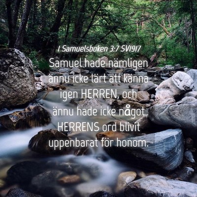 Picture 04 - 1 Samuelsboken 3:7 SV1917 - Samuel hade nämligen ännu icke lärt att känna - Bible Verse Picture