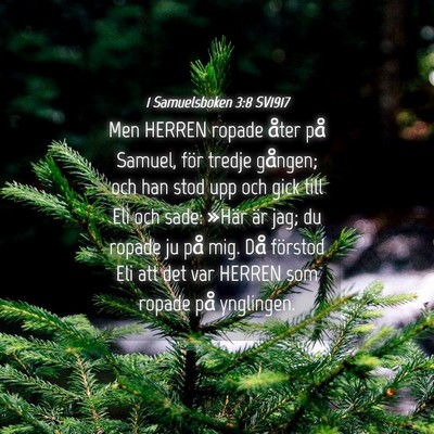 Picture 04 - 1 Samuelsboken 3:8 SV1917 - Men HERREN ropade åter på Samuel, för tredje - Bible Verse Picture