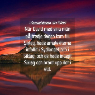 Picture 04 - 1 Samuelsboken 30:1 SV1917 - När David med sina män på tredje dagen kom - Bible Verse Picture