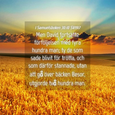 Picture 04 - 1 Samuelsboken 30:10 SV1917 - Men David fortsatte förföljelsen med fyra - Bible Verse Picture