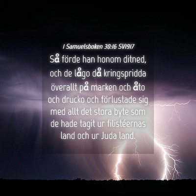 Picture 04 - 1 Samuelsboken 30:16 SV1917 - Så förde han honom ditned, och de lågo då - Bible Verse Picture
