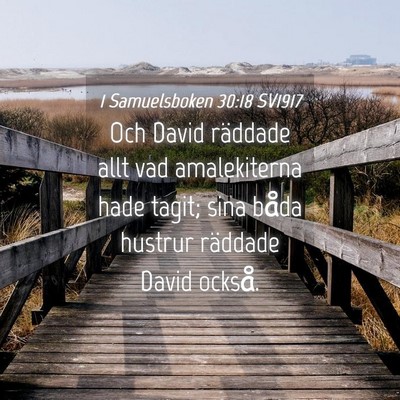 Picture 04 - 1 Samuelsboken 30:18 SV1917 - Och David räddade allt vad amalekiterna hade - Bible Verse Picture