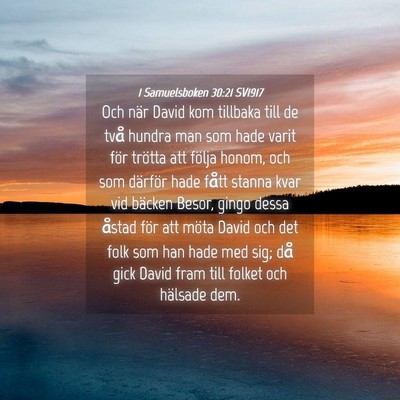 Picture 04 - 1 Samuelsboken 30:21 SV1917 - Och när David kom tillbaka till de två hundra - Bible Verse Picture