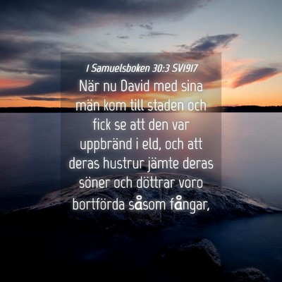 Picture 04 - 1 Samuelsboken 30:3 SV1917 - När nu David med sina män kom till staden och - Bible Verse Picture