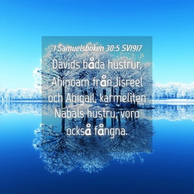 Picture 04 - 1 Samuelsboken 30:5 SV1917 - Davids båda hustrur, Ahinoam från Jisreel och - Bible Verse Picture